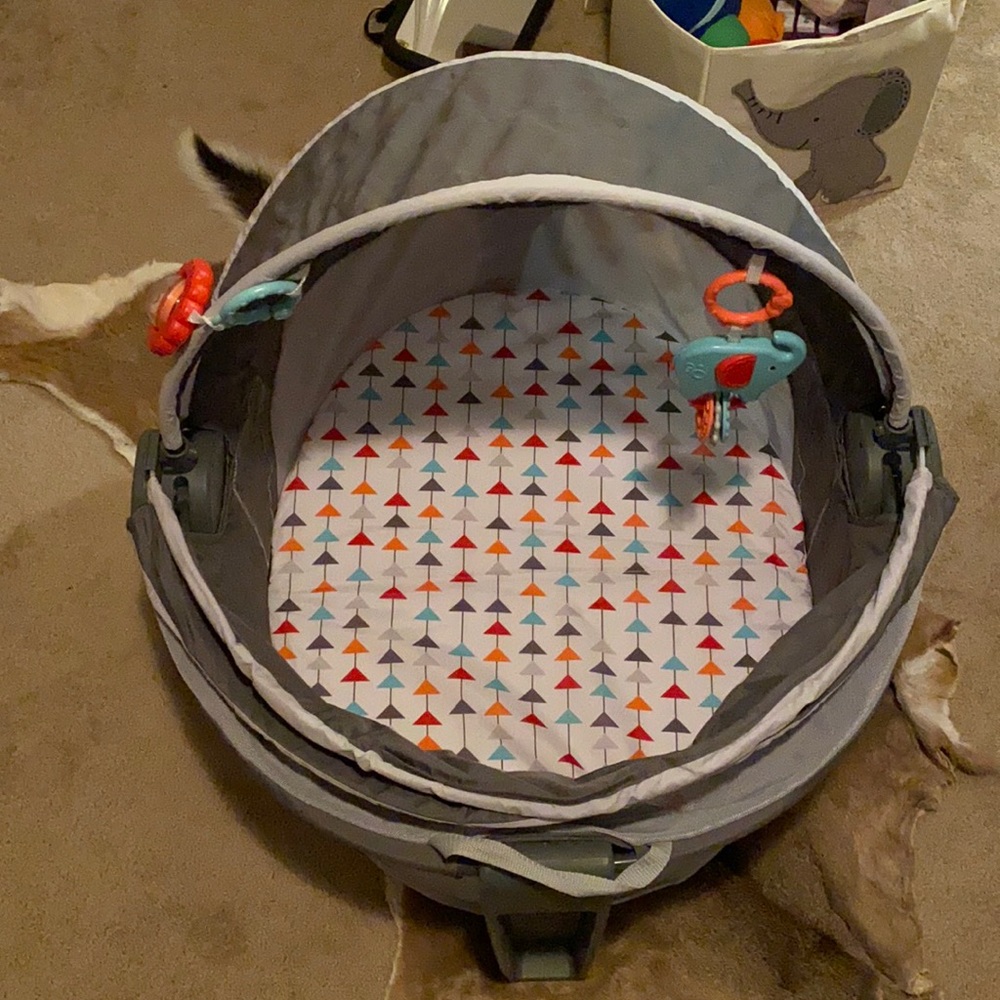 Fisher Price -on the go baby dome